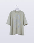 TS-Refract / leaf