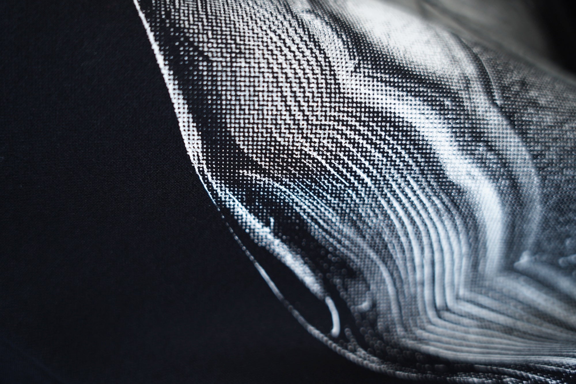 Diaphanera Hoodie / black