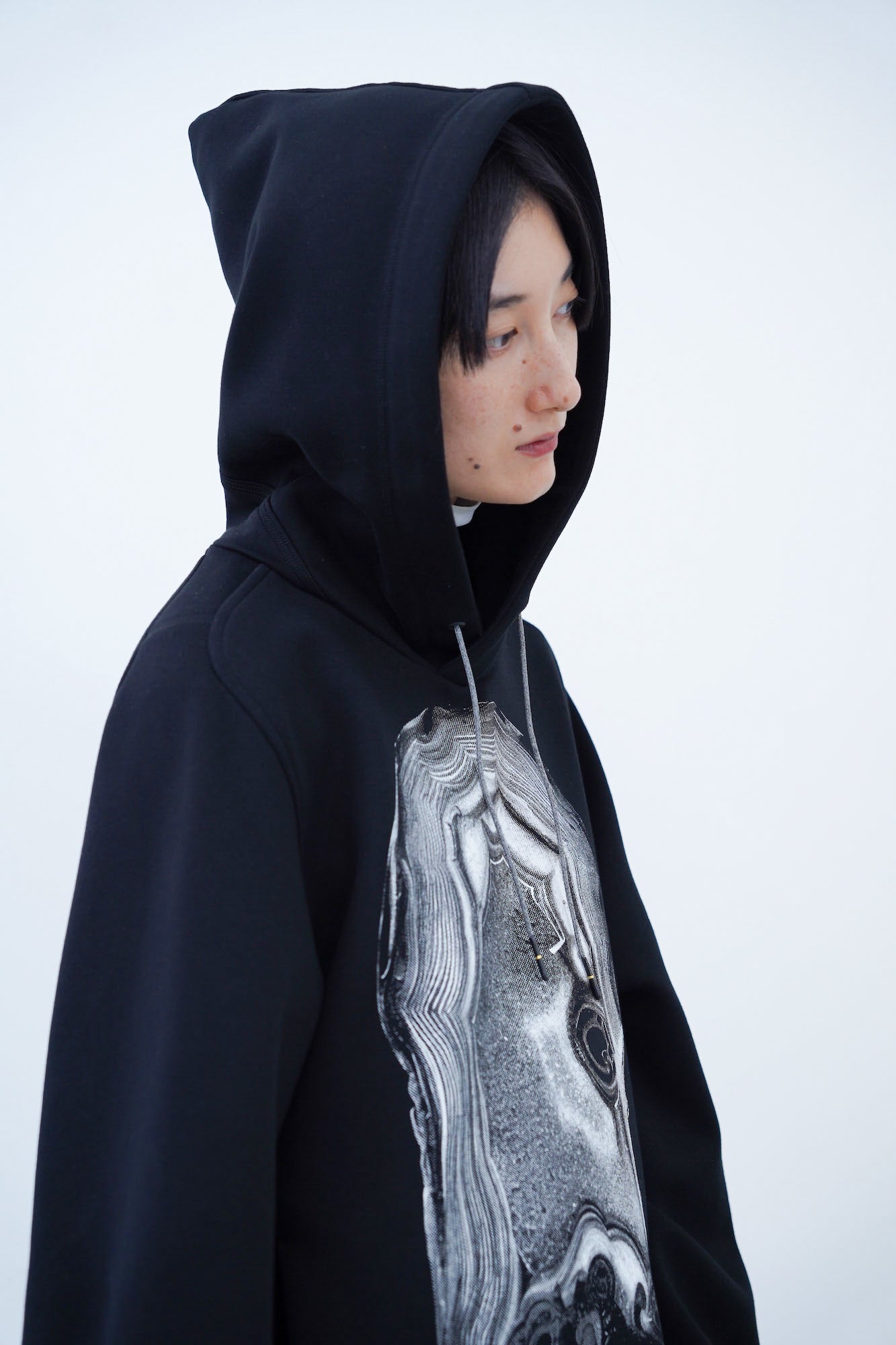 Diaphanera Hoodie / black