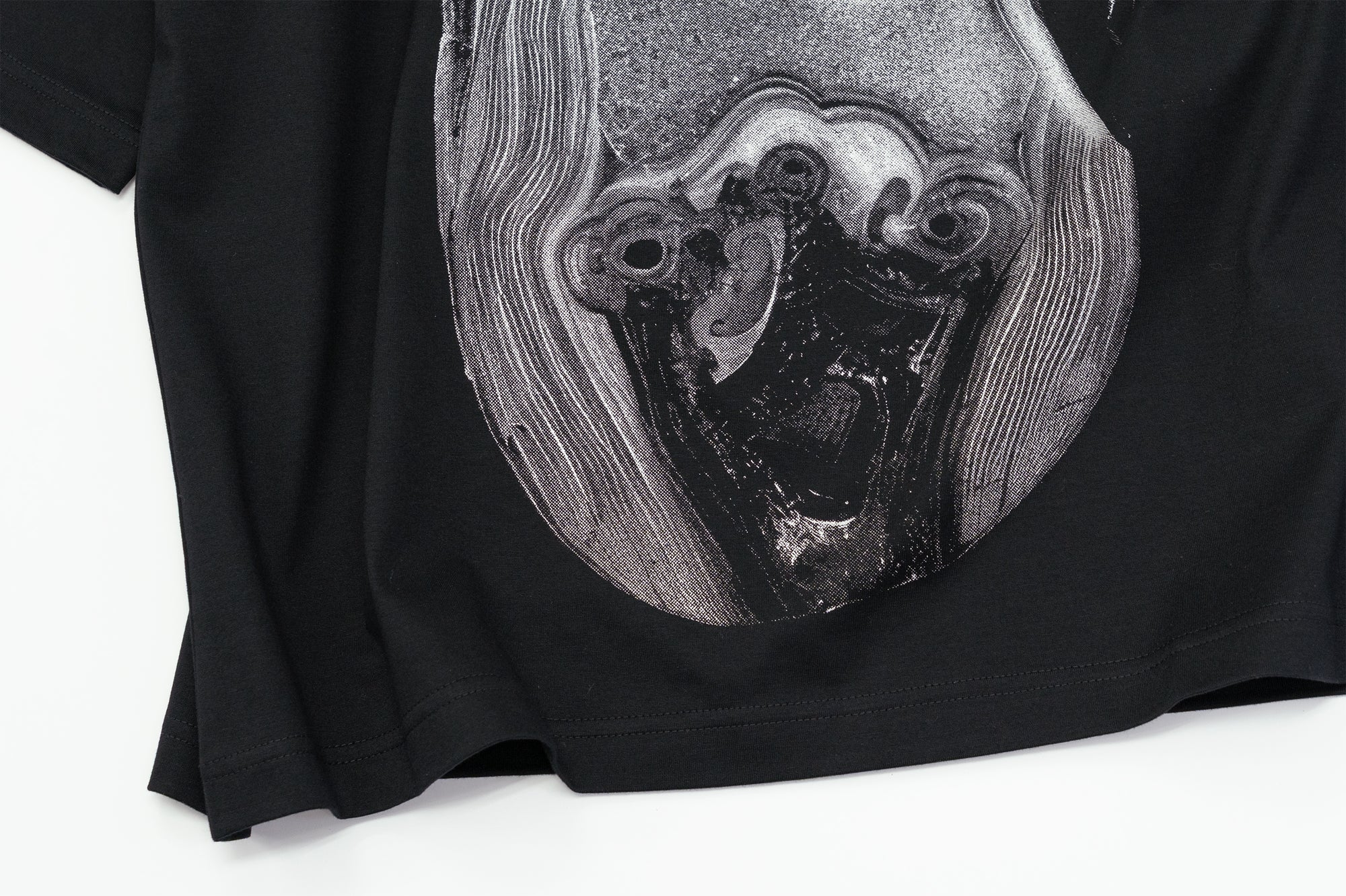 TS-Diaphanera / black