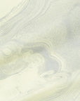 TS-Diaphanera / resin-yellow