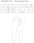 Phenomenal Sheer Pants / halo-II