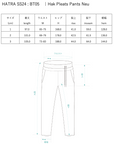 Hak Pleats Pants Neu / dark