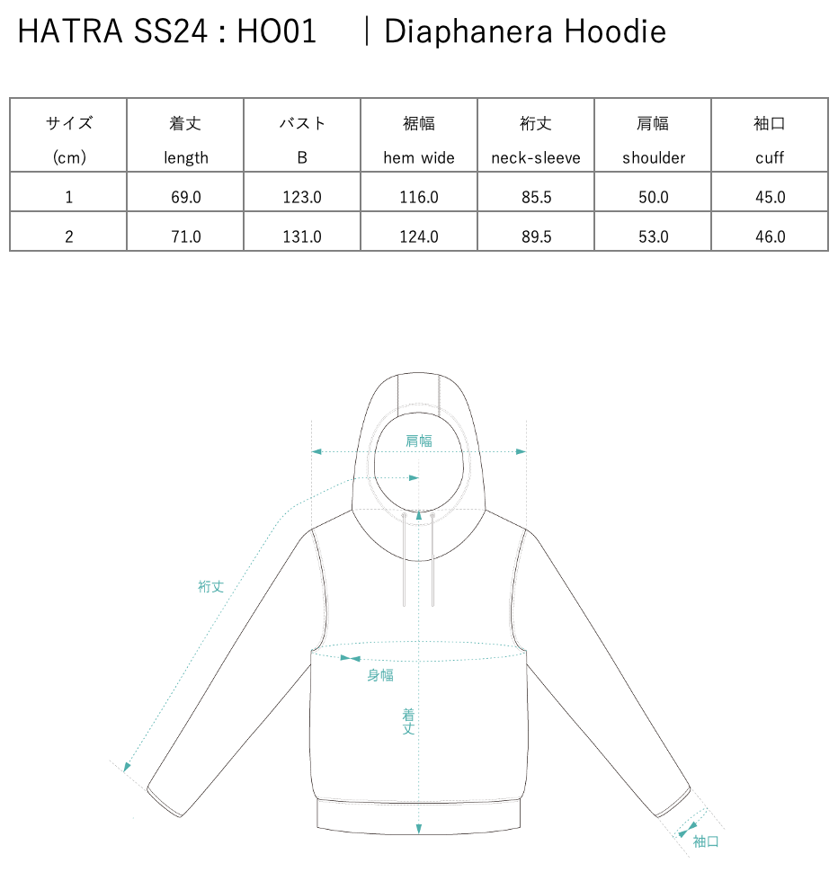Diaphanera Hoodie / black