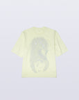 TS-Diaphanera / resin-yellow