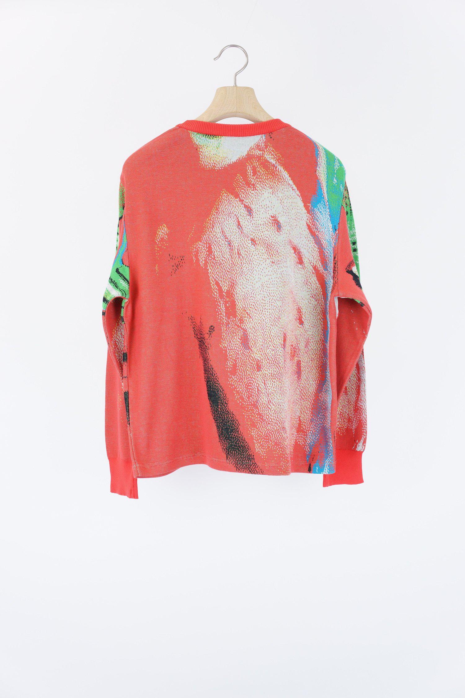 Syn_Feather_Sweater / Penguin