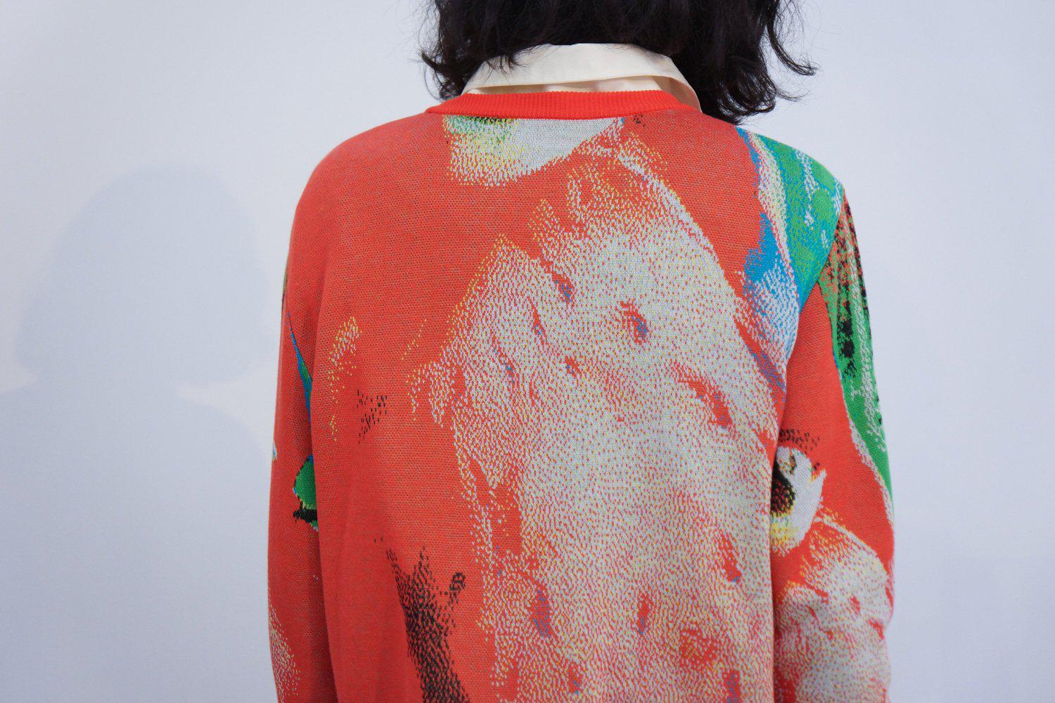 Syn_Feather_Sweater / Penguin