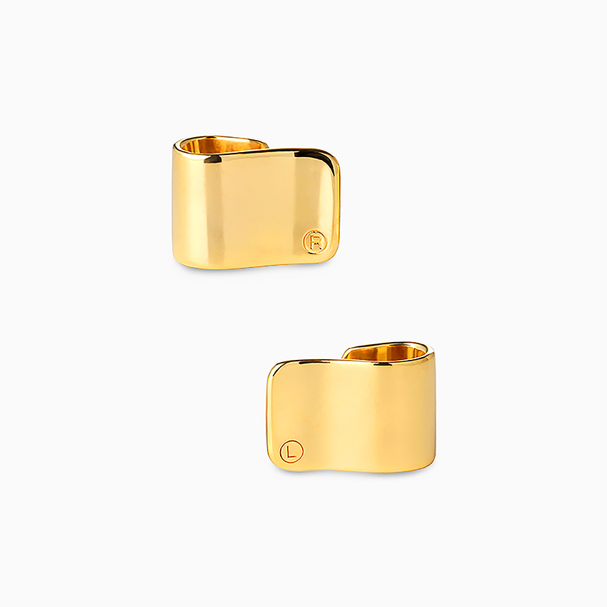 Hearing Aid / GOLD-PAIR