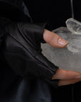 Study Gloves CL / black