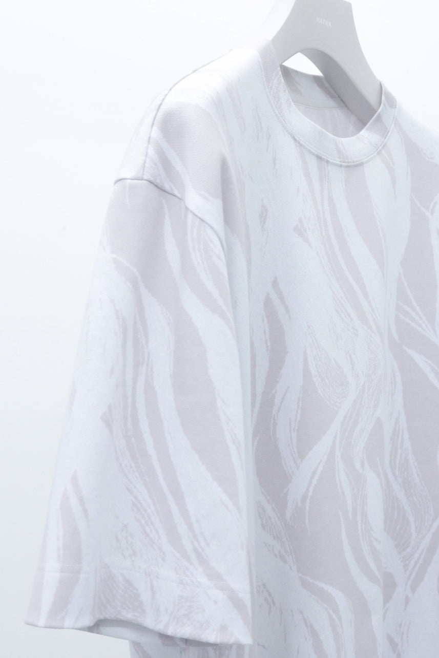 TS-Aero / clear