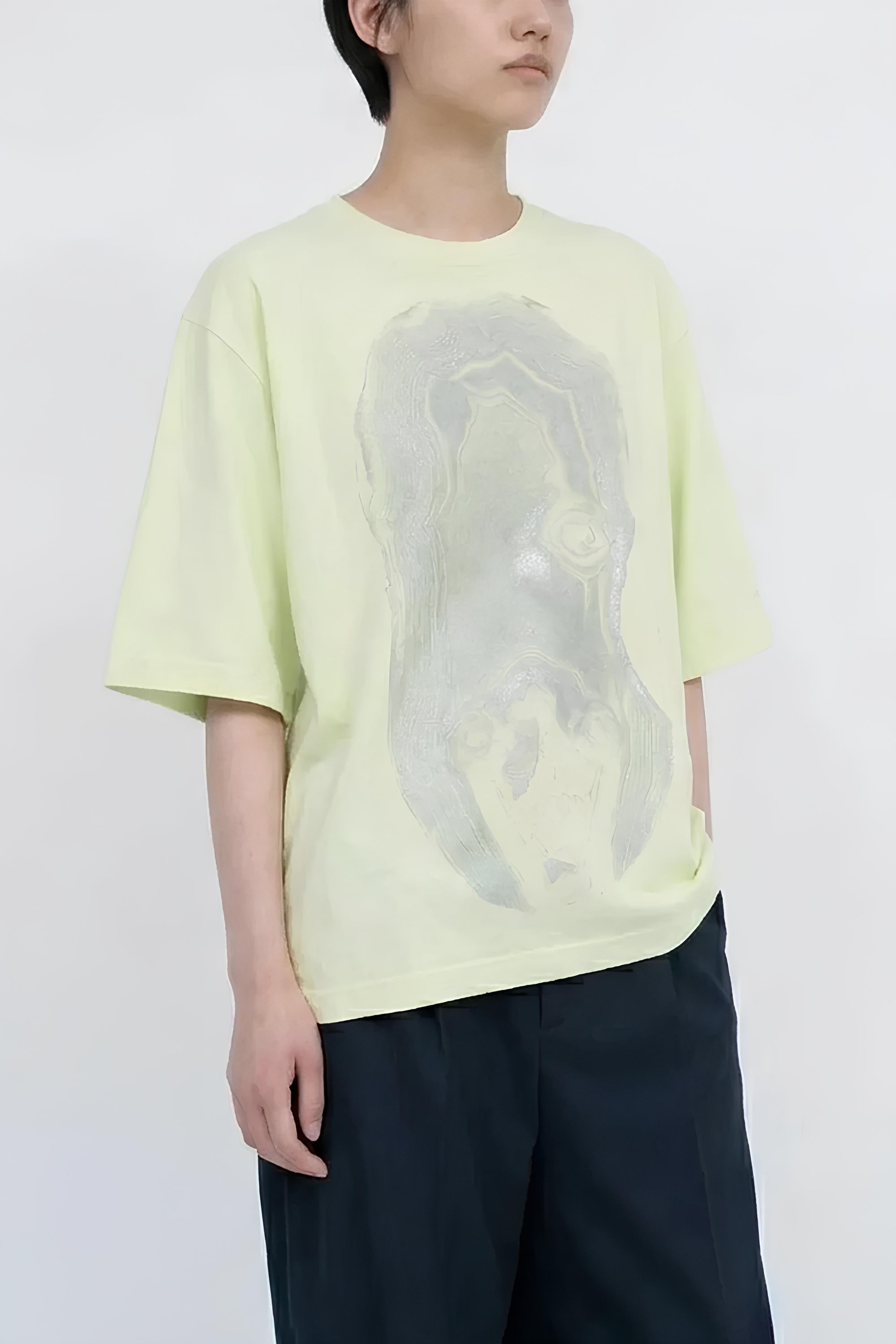 TS-Diaphanera / resin-yellow