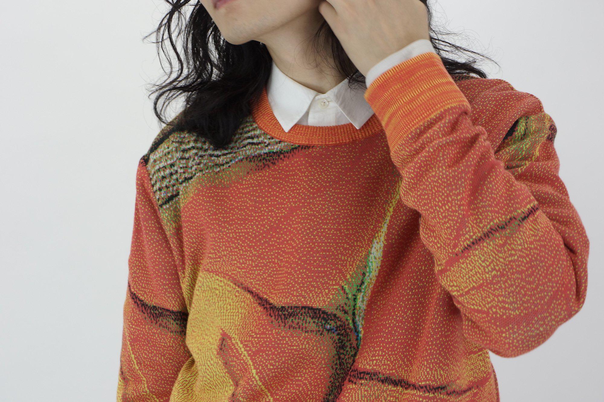 Syn Feather Sweater / STRELITZIA